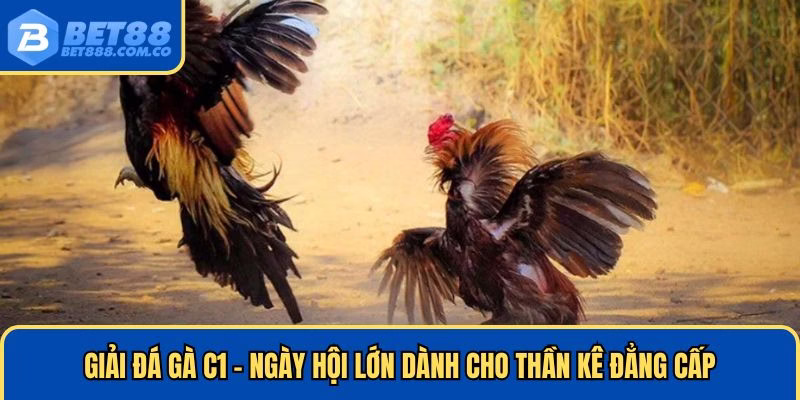 da-ga-c1-anh-dai-dien