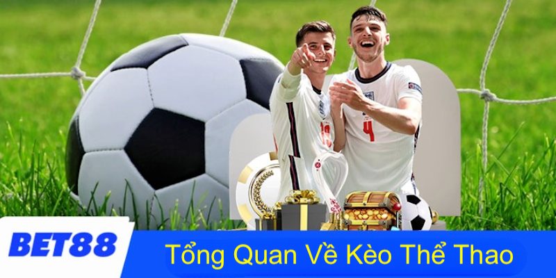 Tổng quan về kèo nhà cái bet88